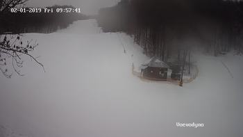 Воєводино 1 лютого 2019 року, 2019-02-01 10:00