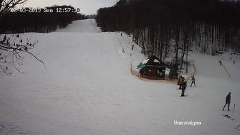 Воєводино 3 лютого 2019 року, 2019-02-03 13:00