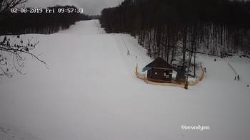 Воєводино 8 лютого 2019 року, 2019-02-08 10:00