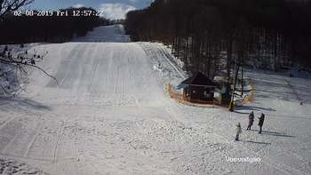 Воєводино 8 лютого 2019 року, 2019-02-08 13:00