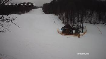 Воєводино 12 лютого 2019 року, 2019-02-12 10:00