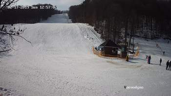 Воєводино 17 лютого 2019 року, 2019-02-17 13:00