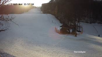 Воєводино 20 лютого 2019 року, 2019-02-20 16:00
