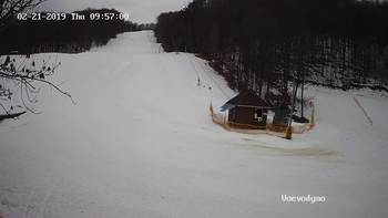 Воєводино 21 лютого 2019 року, 2019-02-21 10:00