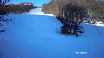 Воєводино 23 лютого 2019 року, 2019-02-23 10:00