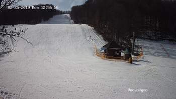Воєводино 25 лютого 2019 року, 2019-02-25 13:00