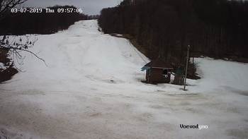 Воєводино 7 березня 2019 року, 2019-03-07 10:00