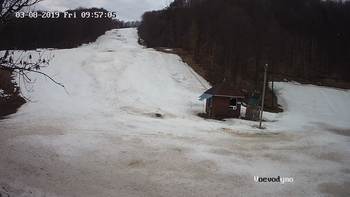 Воєводино 8 березня 2019 року, 2019-03-08 10:00