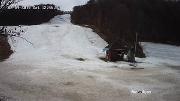 Воєводино 9 березня 2019 року, 2019-03-09 13:00