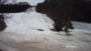 Воєводино 10 березня 2019 року, 2019-03-10 13:00