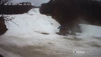 Воєводино 10 березня 2019 року, 2019-03-10 16:00
