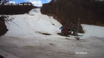 Воєводино 11 березня 2019 року, 2019-03-11 10:00