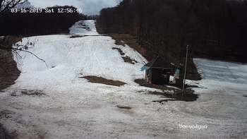 Воєводино 16 березня 2019 року, 2019-03-16 13:00