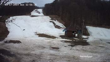 Воєводино 17 березня 2019 року, 2019-03-17 13:00
