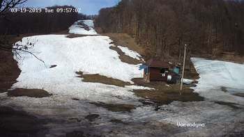 Воєводино 19 березня 2019 року, 2019-03-19 10:00