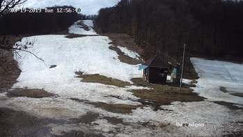 Воєводино 19 березня 2019 року, 2019-03-19 13:00