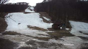 Воєводино 19 березня 2019 року, 2019-03-19 16:00