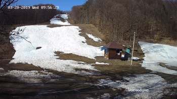 Воєводино 20 березня 2019 року, 2019-03-20 10:00