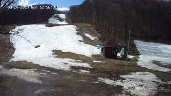 Воєводино 20 березня 2019 року, 2019-03-20 13:00
