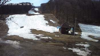 Воєводино 21 березня 2019 року, 2019-03-21 13:00