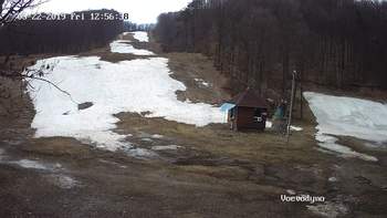 Воєводино 22 березня 2019 року, 2019-03-22 13:00
