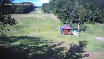 Воєводино 4 червня 2019 року, 2019-06-04 10:00