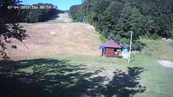 Воєводино 4 липня 2019 року, 2019-07-04 10:00