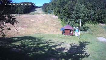 Воєводино 5 липня 2019 року, 2019-07-05 10:00