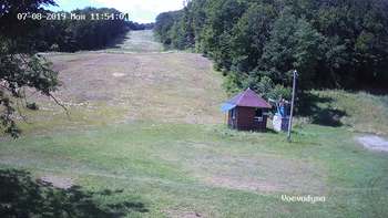 Воєводино 8 липня 2019 року, 2019-07-08 13:00
