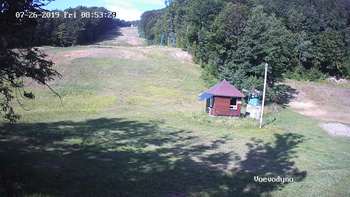 Воєводино 26 липня 2019 року, 2019-07-26 10:00