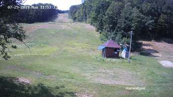 Воєводино 29 липня 2019 року, 2019-07-29 13:00