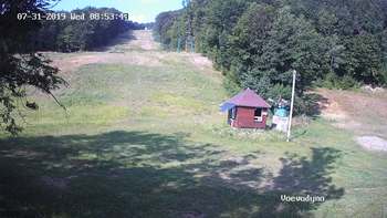 Воєводино 31 липня 2019 року, 2019-07-31 10:00