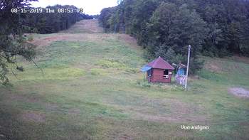 Воєводино 15 серпня 2019 року, 2019-08-15 10:00