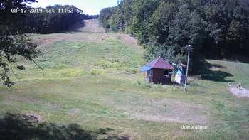 Воєводино 17 серпня 2019 року, 2019-08-17 13:00