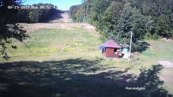 Воєводино 19 серпня 2019 року, 2019-08-19 10:00