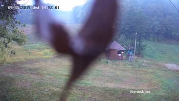 Воєводино 25 вересня 2019 року, 2019-09-25 16:00