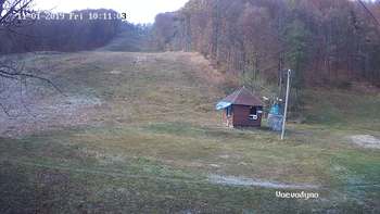 Воєводино 1 листопада 2019 року, 2019-11-01 10:00