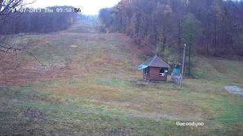 Воєводино 7 листопада 2019 року, 2019-11-07 10:00