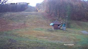 Воєводино 12 листопада 2019 року, 2019-11-12 10:00