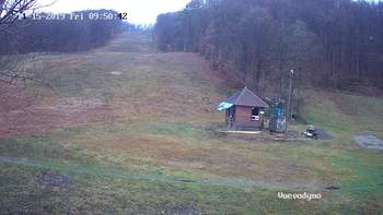 Воєводино 15 листопада 2019 року, 2019-11-15 10:00