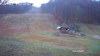 Воєводино 16 листопада 2019 року, 2019-11-16 10:00