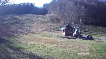 Воєводино 19 листопада 2019 року, 2019-11-19 13:00