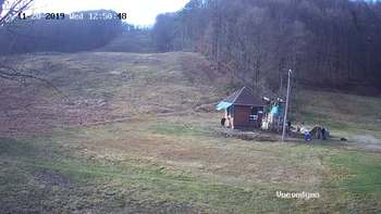 Воєводино 20 листопада 2019 року, 2019-11-20 13:00