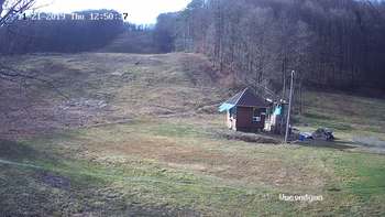 Воєводино 21 листопада 2019 року, 2019-11-21 13:00