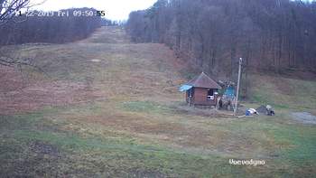Воєводино 22 листопада 2019 року, 2019-11-22 10:00