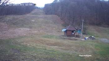 Воєводино 22 листопада 2019 року, 2019-11-22 13:00