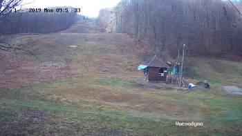 Воєводино 25 листопада 2019 року, 2019-11-25 10:00