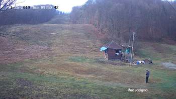 Воєводино 26 листопада 2019 року, 2019-11-26 10:00