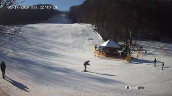 Воєводино 17 січня 2020 року, 2020-01-17 13:00
