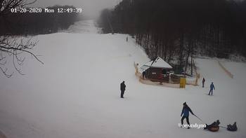Воєводино 20 січня 2020 року, 2020-01-20 13:00